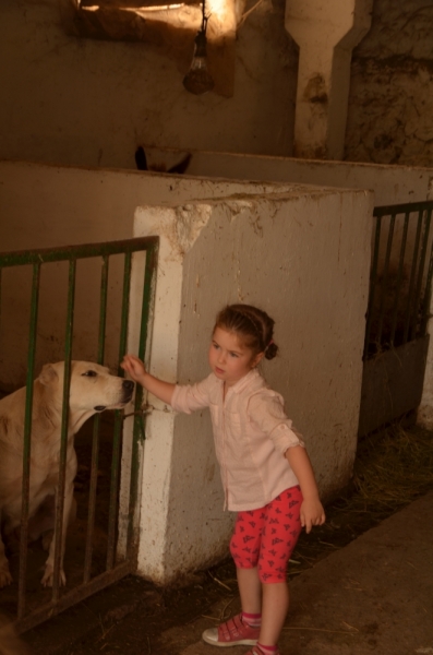 Давно считаю себя взрослой, а в Крыму никогда не бывала. Симеиз.