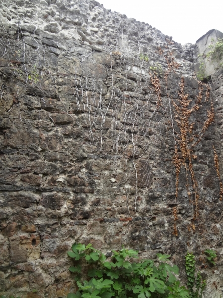 12 дней в Абхазии (Лдзаа, Пицунда, Гагра, Гудаута, Лыхны, Новый Афон, Сухум)