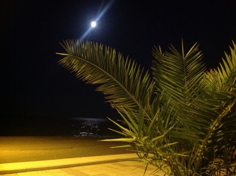 Идеальный отдых в апартаментах с маленькими детьми. Испания. Коста Дорада (онлайн, фото)