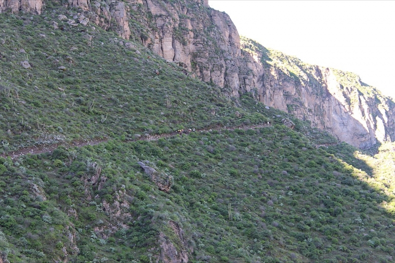 Мачу Пикчу и Каньон Колка. Видео + Фото