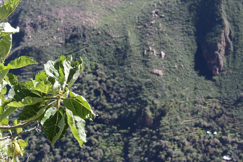 Мачу Пикчу и Каньон Колка. Видео + Фото