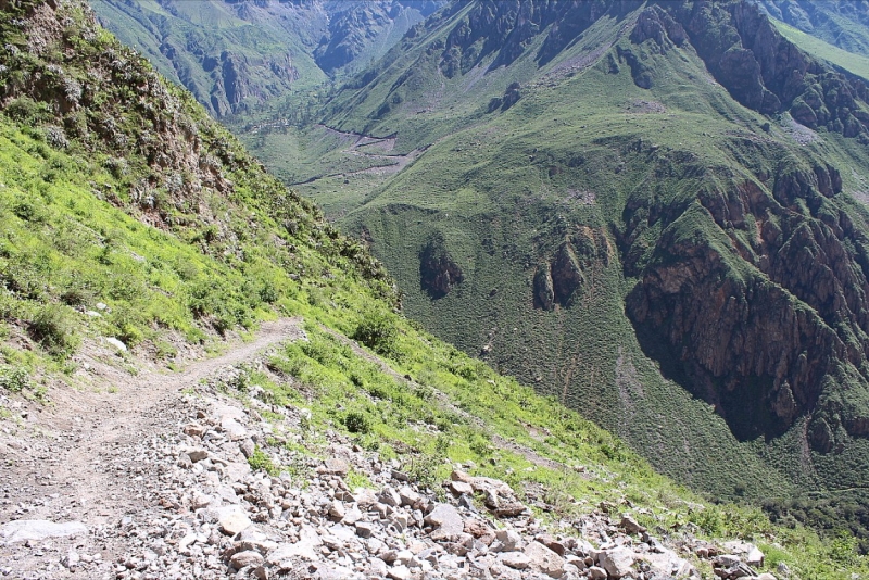 Мачу Пикчу и Каньон Колка. Видео + Фото