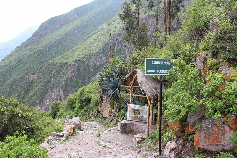 Мачу Пикчу и Каньон Колка. Видео + Фото