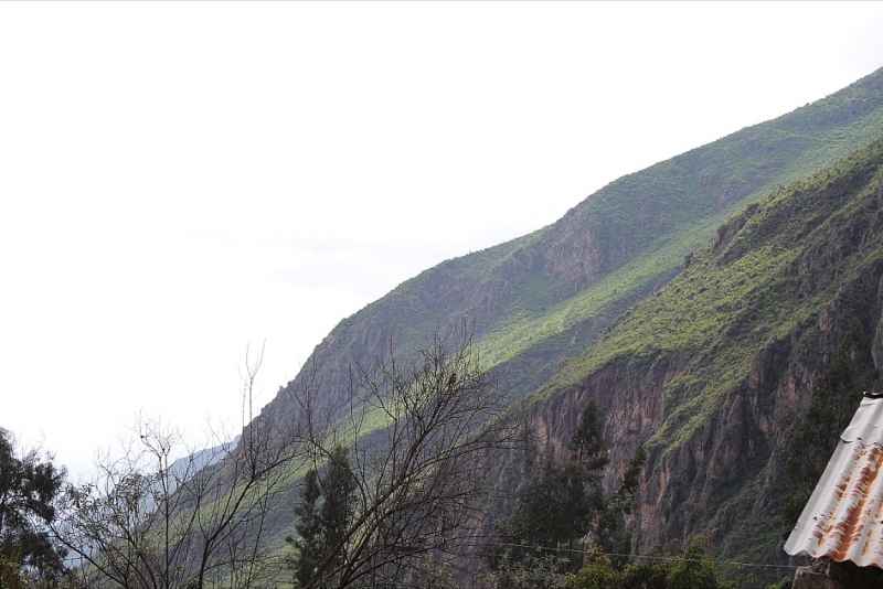 Мачу Пикчу и Каньон Колка. Видео + Фото
