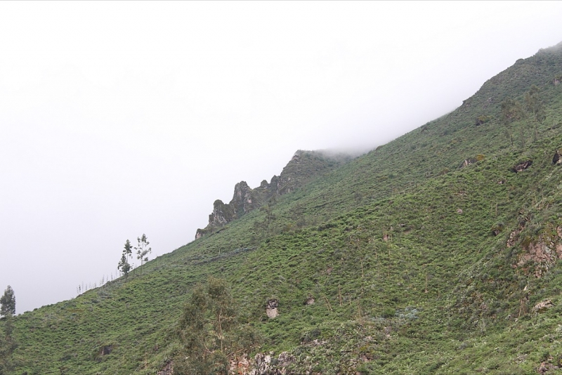 Мачу Пикчу и Каньон Колка. Видео + Фото