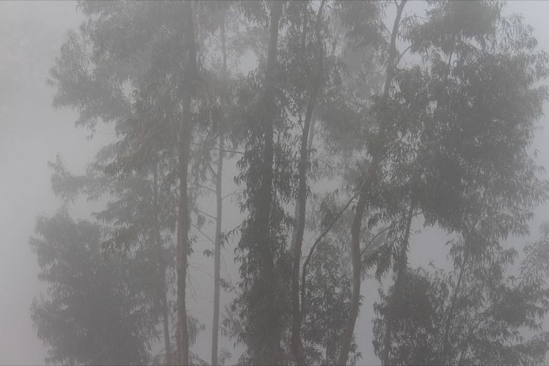 Мачу Пикчу и Каньон Колка. Видео + Фото