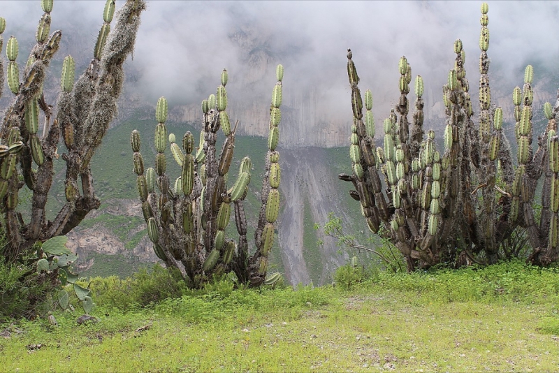 Мачу Пикчу и Каньон Колка. Видео + Фото