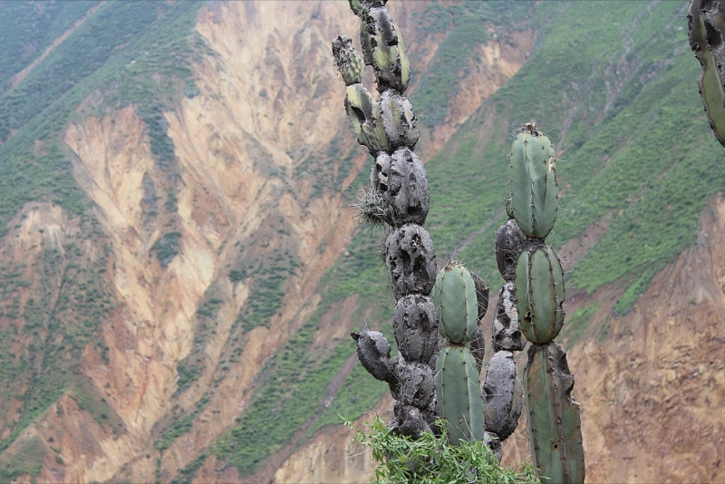 Мачу Пикчу и Каньон Колка. Видео + Фото