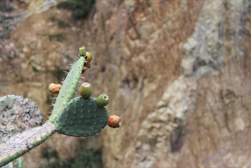 Мачу Пикчу и Каньон Колка. Видео + Фото