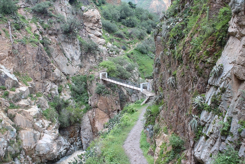 Мачу Пикчу и Каньон Колка. Видео + Фото