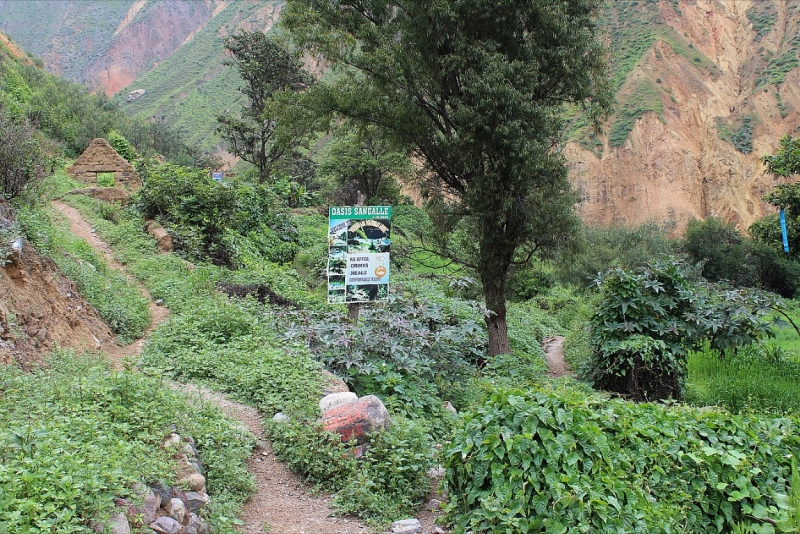 Мачу Пикчу и Каньон Колка. Видео + Фото