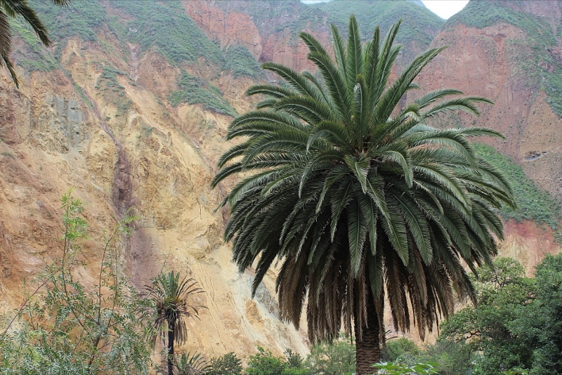 Мачу Пикчу и Каньон Колка. Видео + Фото