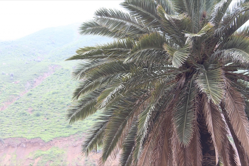 Мачу Пикчу и Каньон Колка. Видео + Фото