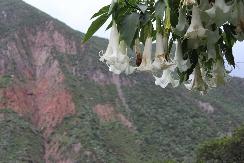 Мачу Пикчу и Каньон Колка. Видео + Фото