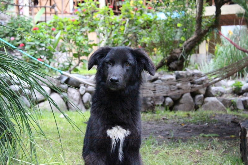 Мачу Пикчу и Каньон Колка. Видео + Фото