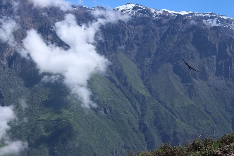 Мачу Пикчу и Каньон Колка. Видео + Фото