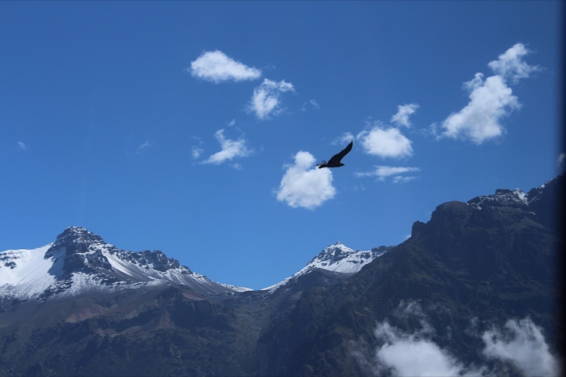 Мачу Пикчу и Каньон Колка. Видео + Фото