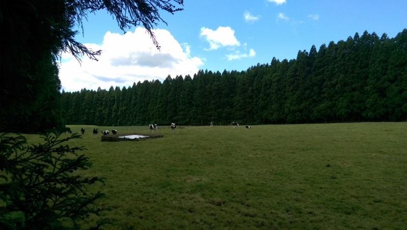 Азоры: 5 островов, одна, весь багаж 4 кг, 16 дней, полная импровизация