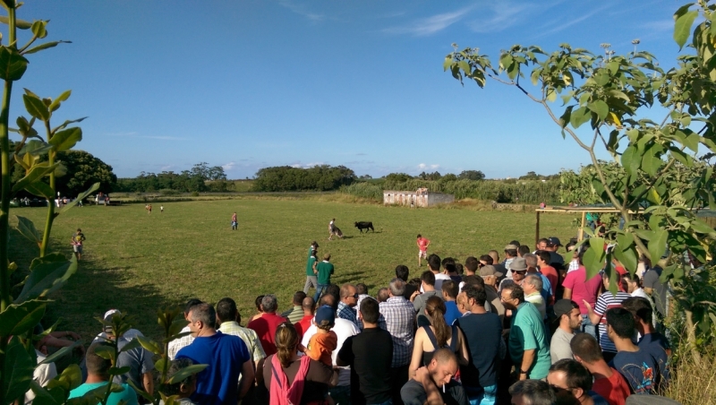 Азоры: 5 островов, одна, весь багаж 4 кг, 16 дней, полная импровизация