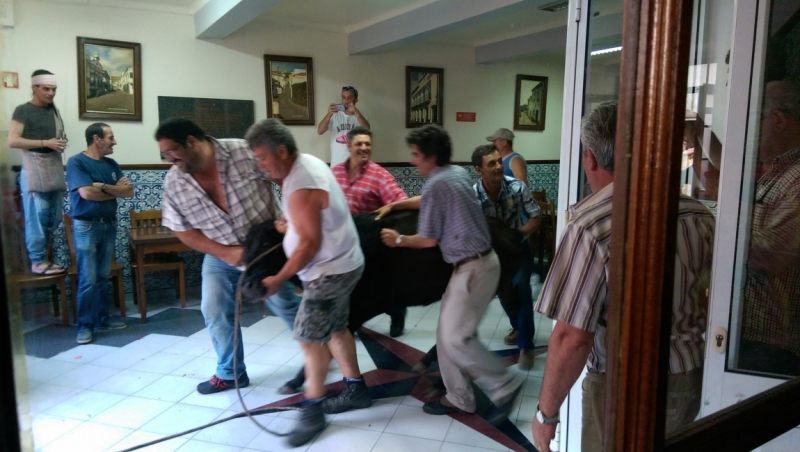 Азоры: 5 островов, одна, весь багаж 4 кг, 16 дней, полная импровизация