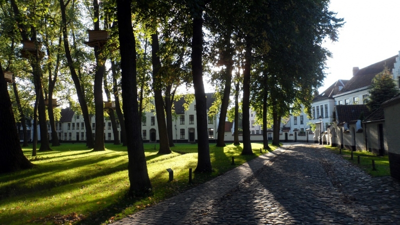 Бельгия: Антверпен, Брюгге, парк Pairi Daiza. Сентябрь 2015 г.