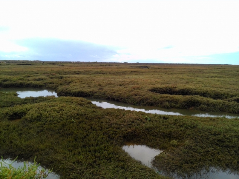 Португалия: от Порто до Алгарве, из СПБ через Хельсинки и Мадрид