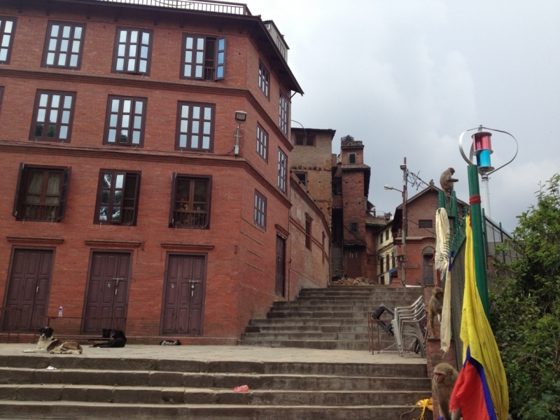 Swayamba & Stupa в Катманду - живы?