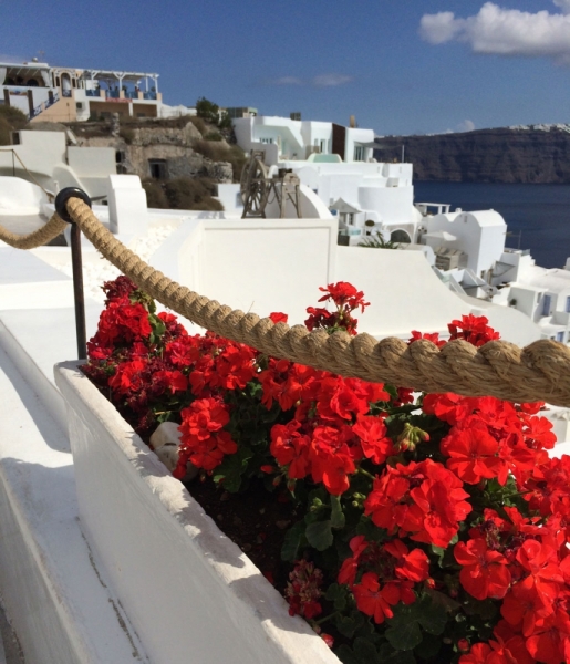 За зайцами по греческим островам: общефорумный круиз Rhapsody of the Seas, осень 2015