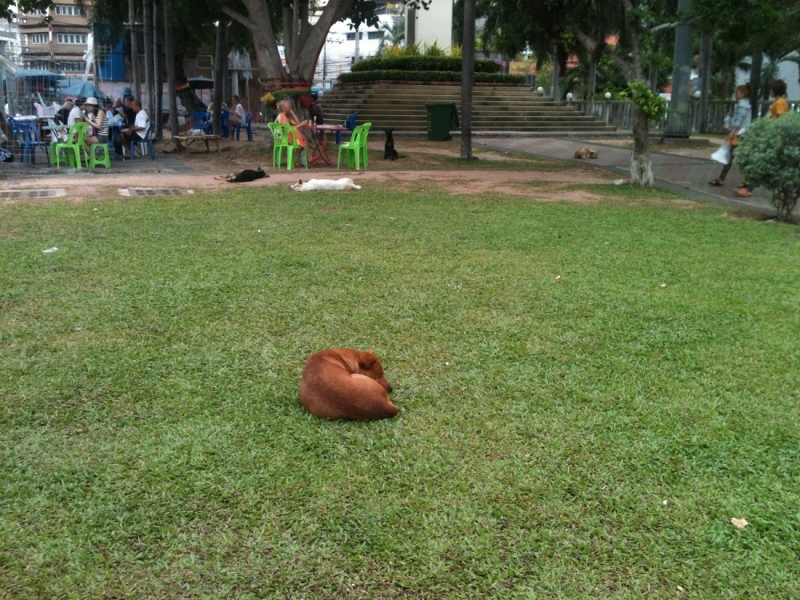 Принял на грудь, скажи что-нибудь! Трезвым вход запрещён!
