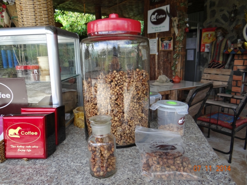 Вьетнам-Камбоджа (Ханой-Далат-Сиемрип-Чи Пат – Ко Ронг (дайвинг) -Хошимин) Ноябрь 2014