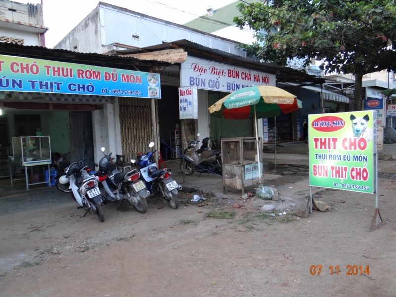 Вьетнам-Камбоджа (Ханой-Далат-Сиемрип-Чи Пат – Ко Ронг (дайвинг) -Хошимин) Ноябрь 2014