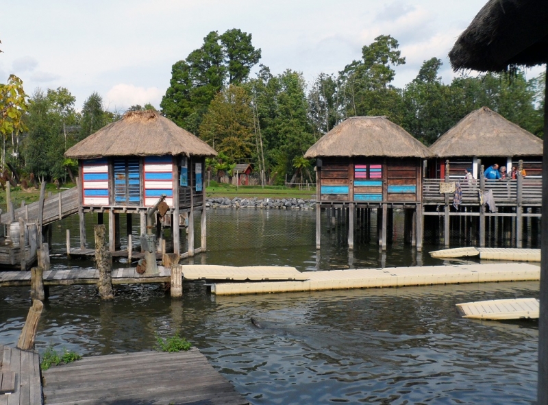 Бельгия: Антверпен, Брюгге, парк Pairi Daiza. Сентябрь 2015 г.