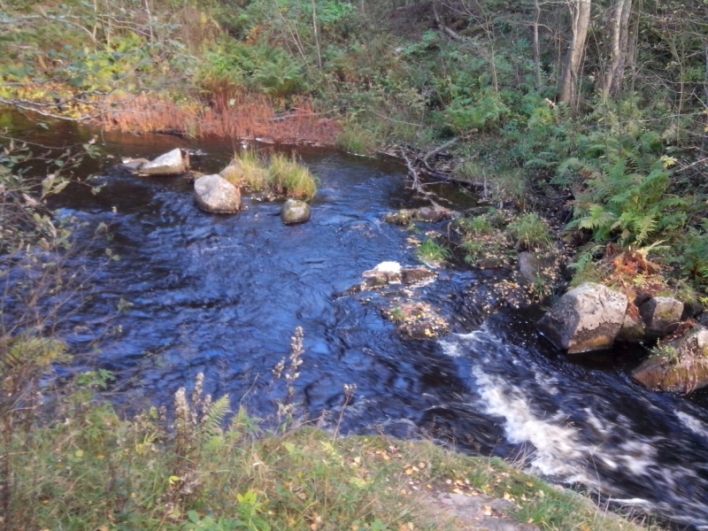Два дня в Карелии (из СПб)