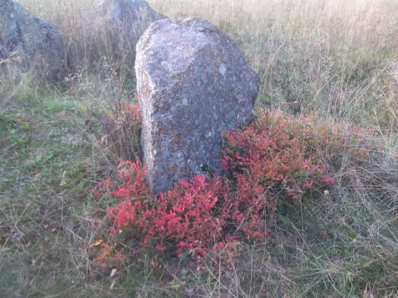 Два дня в Карелии (из СПб)