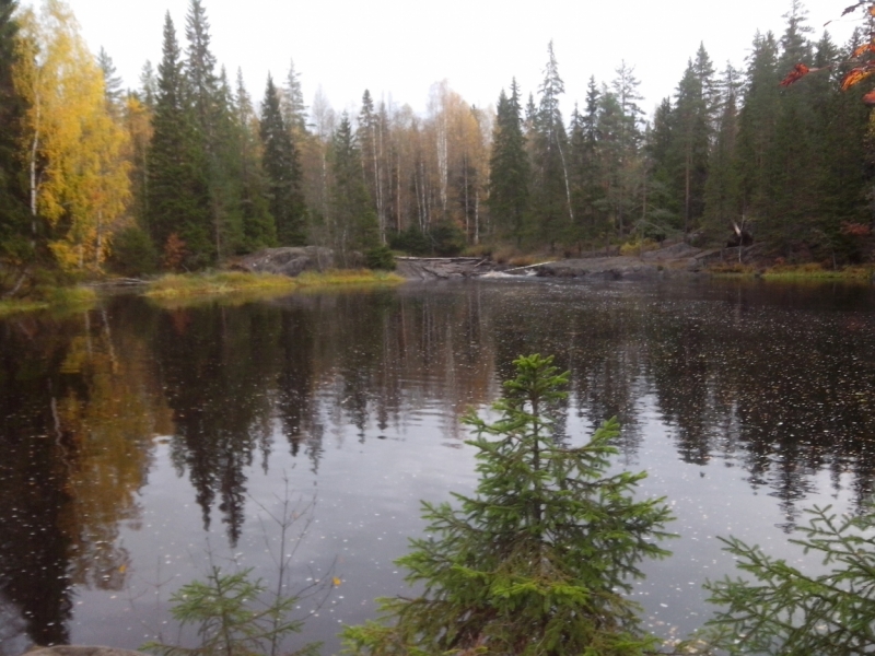 Два дня в Карелии (из СПб)