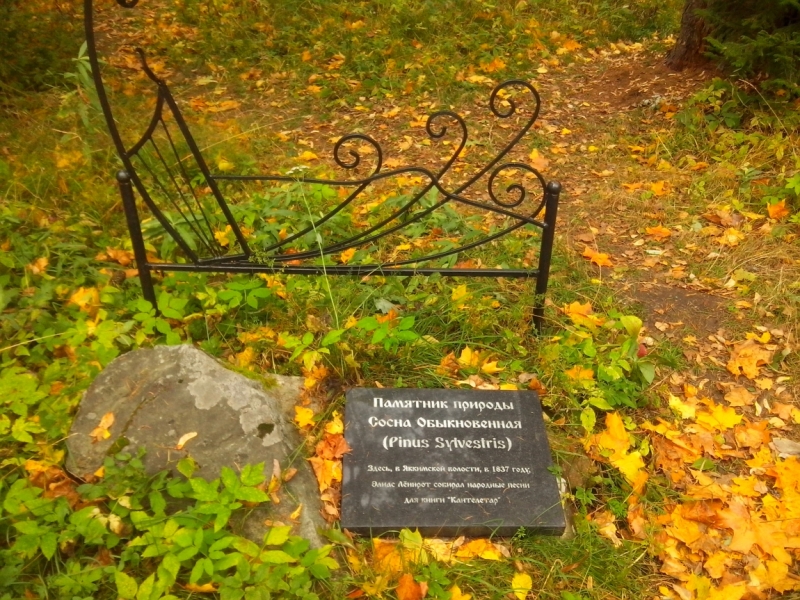 Два дня в Карелии (из СПб)