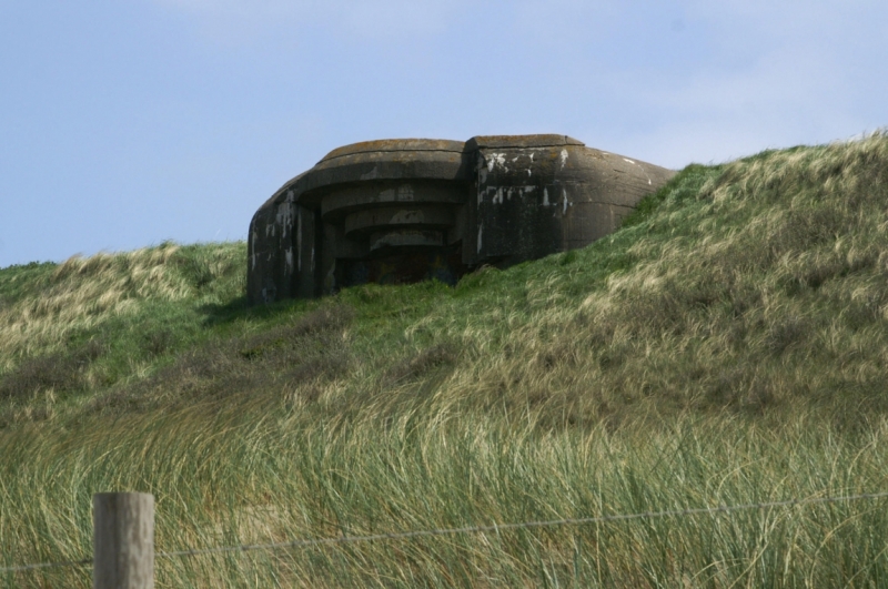 Нидерланды (Keukenhof, Rotterdam, Amsterdam, Delft, Den Haag и еще) + Бавария май 2015