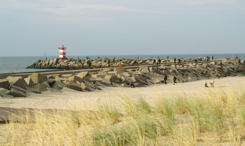 Нидерланды (Keukenhof, Rotterdam, Amsterdam, Delft, Den Haag и еще) + Бавария май 2015