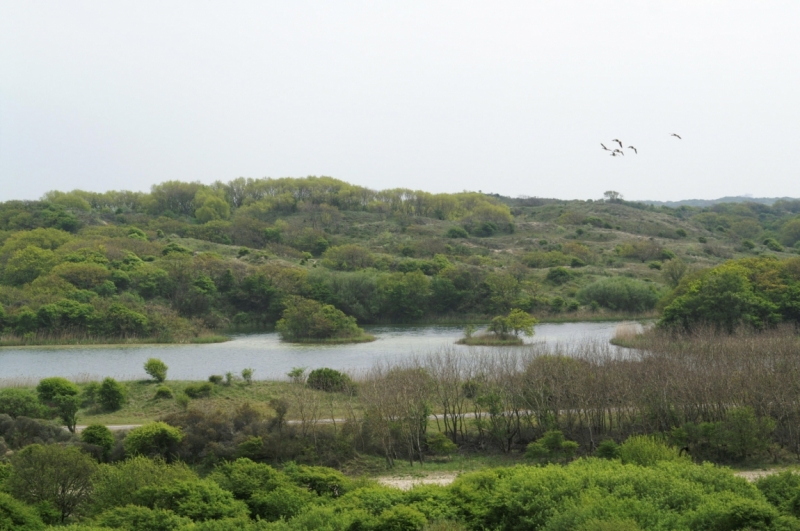 Нидерланды (Keukenhof, Rotterdam, Amsterdam, Delft, Den Haag и еще) + Бавария май 2015