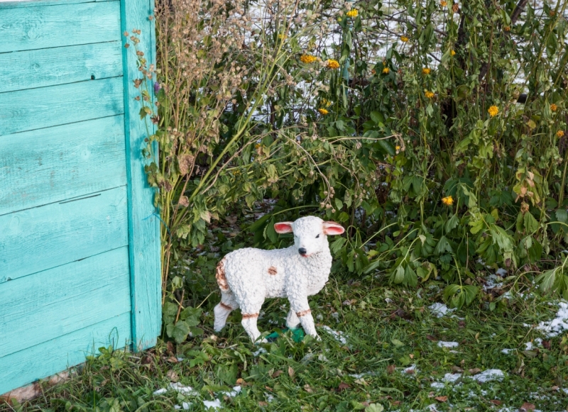 Юг России и Грузия 2015 глазами обывателей