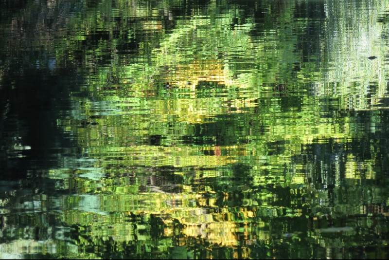 Винная дорога Эльзаса. Пикник на обочине 2015.