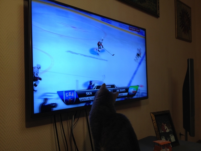 Принял на грудь, скажи что-нибудь! Трезвым вход запрещён!