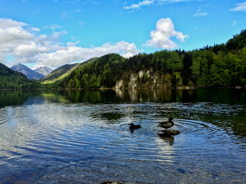 Москва - Прага - Москва + Бавария, Цугшпице, Альпы (май 2015)