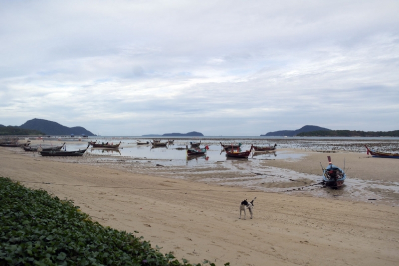 Пляжи Пхукета: какой выбрать для отдыха — лучшие пляжи острова по типу отдыха и чистоте