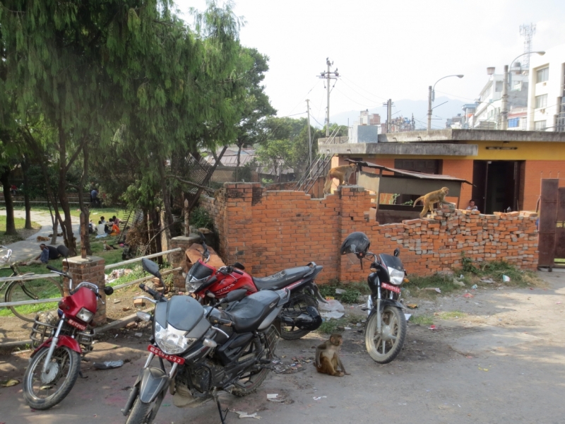 Непал-Индия сентябрь 2015