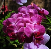 Юлечку-Божулечку с днем рождения!