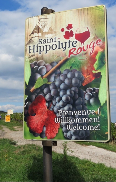 Винная дорога Эльзаса. Пикник на обочине 2015.