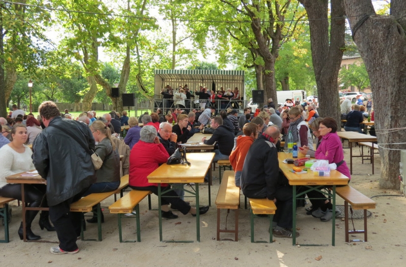 Винная дорога Эльзаса. Пикник на обочине 2015.