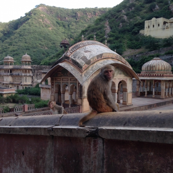 Противоречивая Индия, конец августа - начало сентября 2015 года