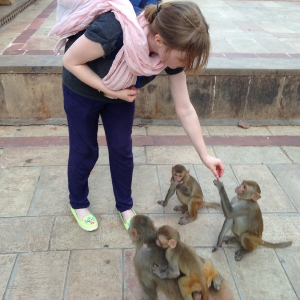 Противоречивая Индия, конец августа - начало сентября 2015 года